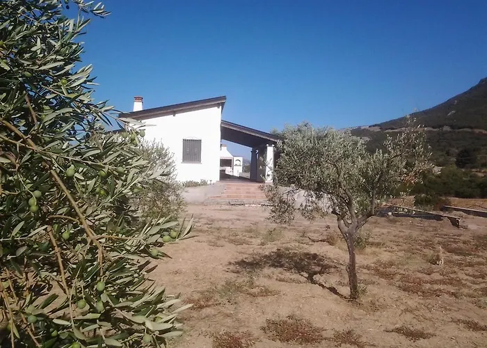 Casa Corofulu - Iun P2139 * Oliena