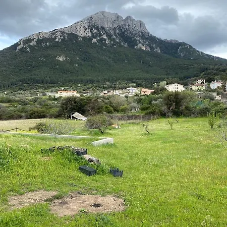 Casa Corofulu - Iun P2139 Feriehus Oliena