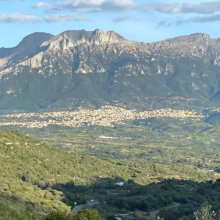 Casa Corofulu - Iun P2139 * أوليينا
