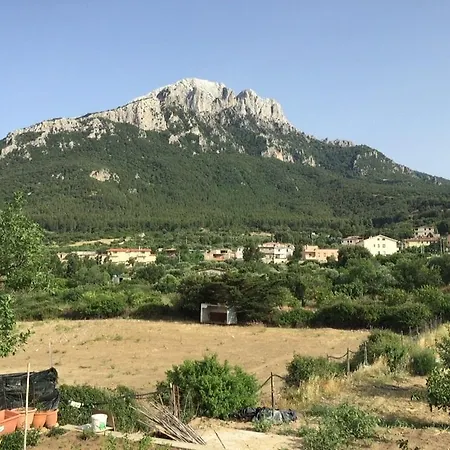 Casa Corofulu - Iun P2139