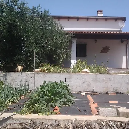 Casa Corofulu - Iun P2139