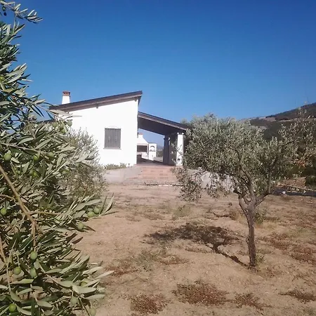 Casa Corofulu - Iun P2139 * أوليينا