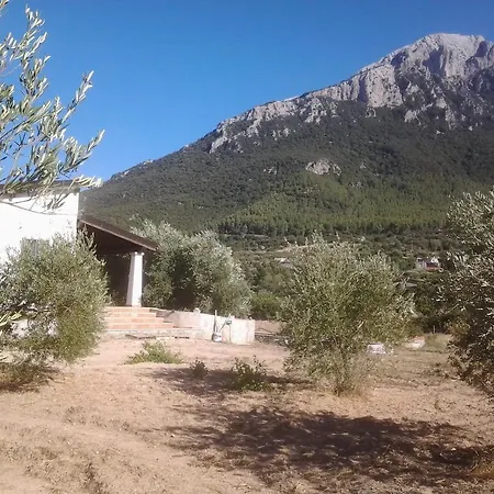 Casa Corofulu - Iun P2139 أوليينا