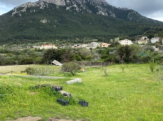 Casa Corofulu - Iun P2139 Сasa de vacaciones Oliena