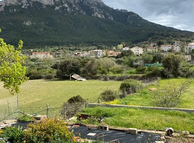 Casa Corofulu - Iun P2139 Oliena