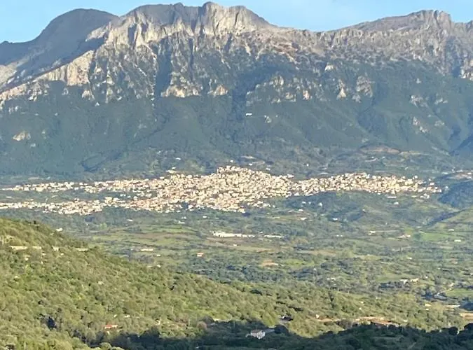 Casa Corofulu - Iun P2139 * Oliena