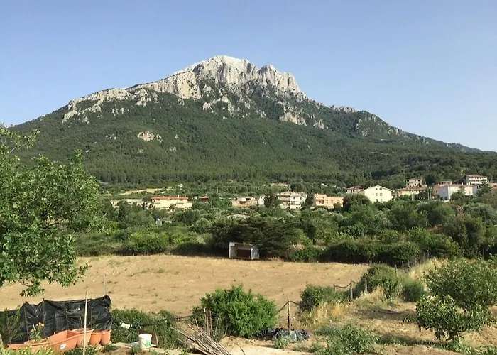 Casa Corofulu - Iun P2139