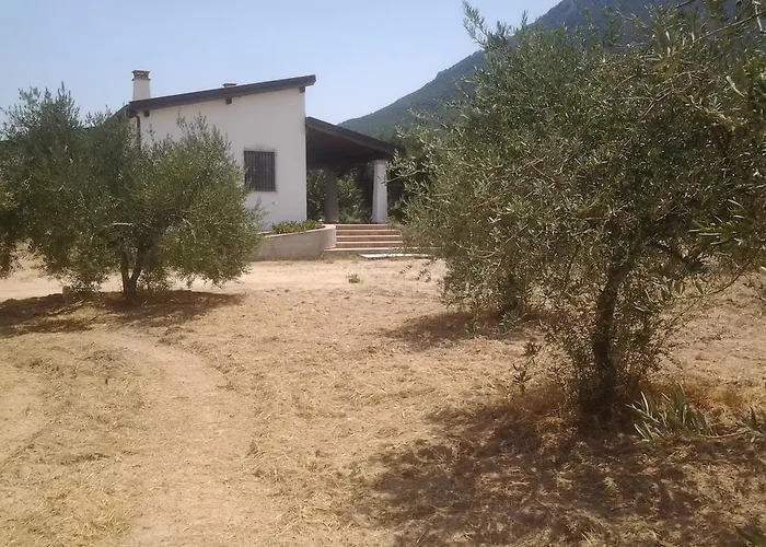 Casa Corofulu - Iun P2139 Сasa de vacaciones