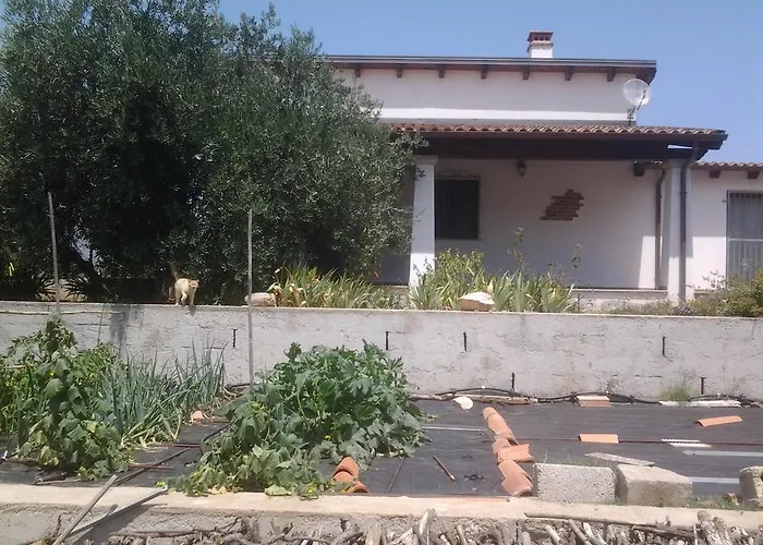 Casa Corofulu - Iun P2139