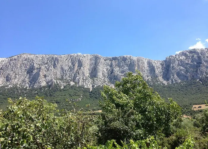 Сasa de vacaciones Casa Corofulu - Iun P2139 *