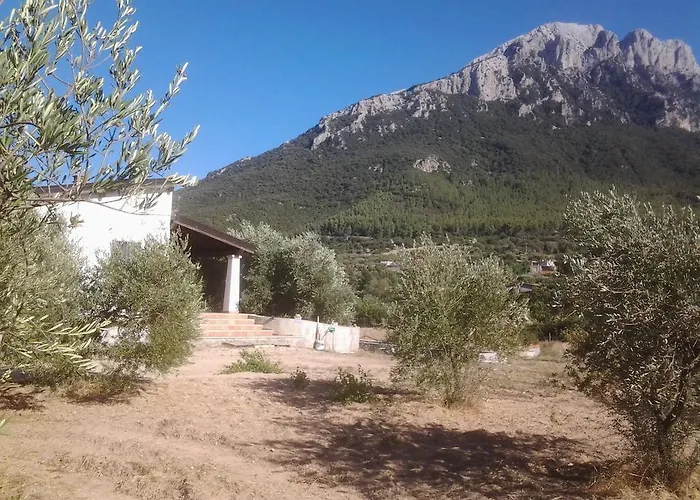 Casa Corofulu - Iun P2139 Oliena